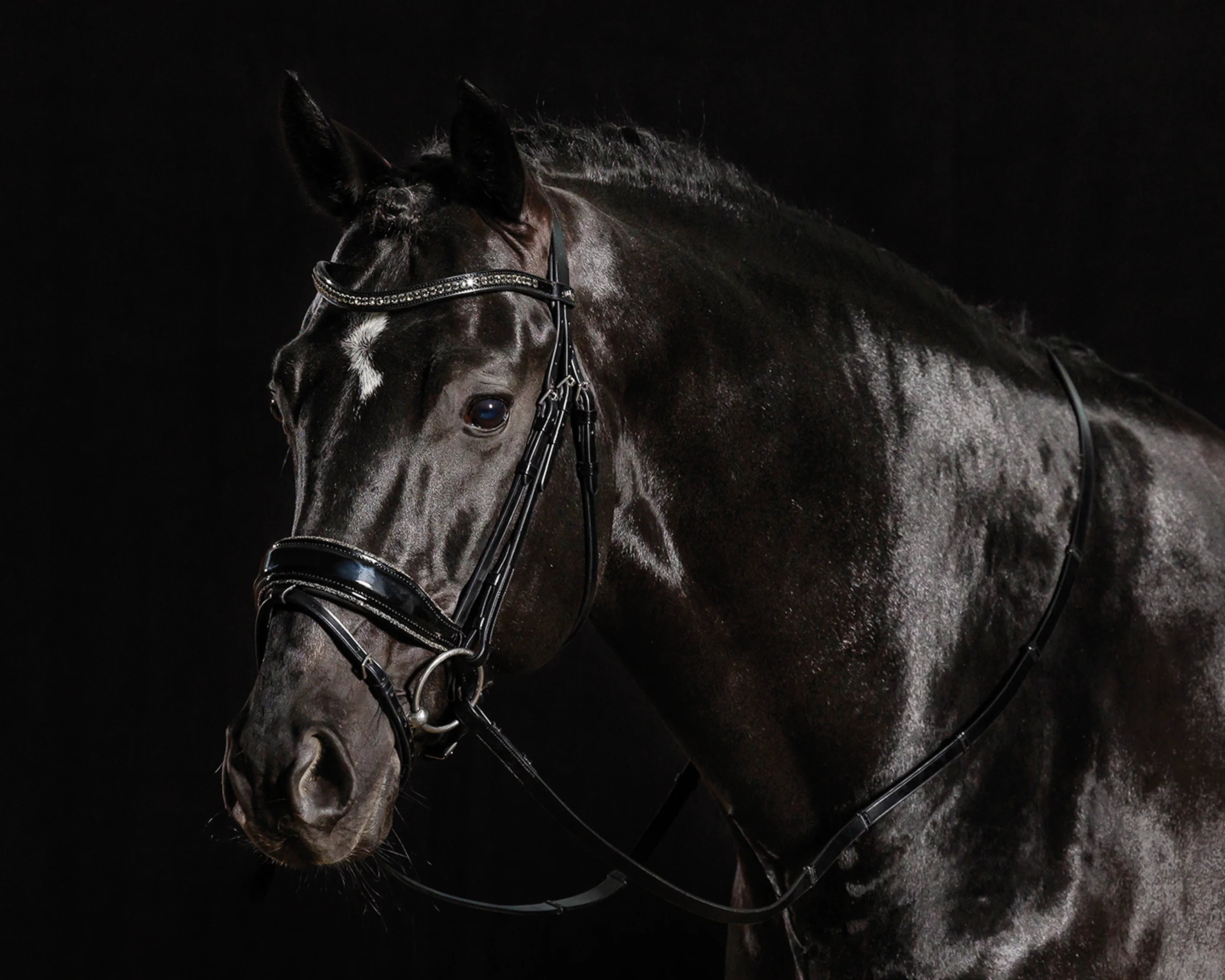 Schockemöhle Standford Glam Bridle - Image 5