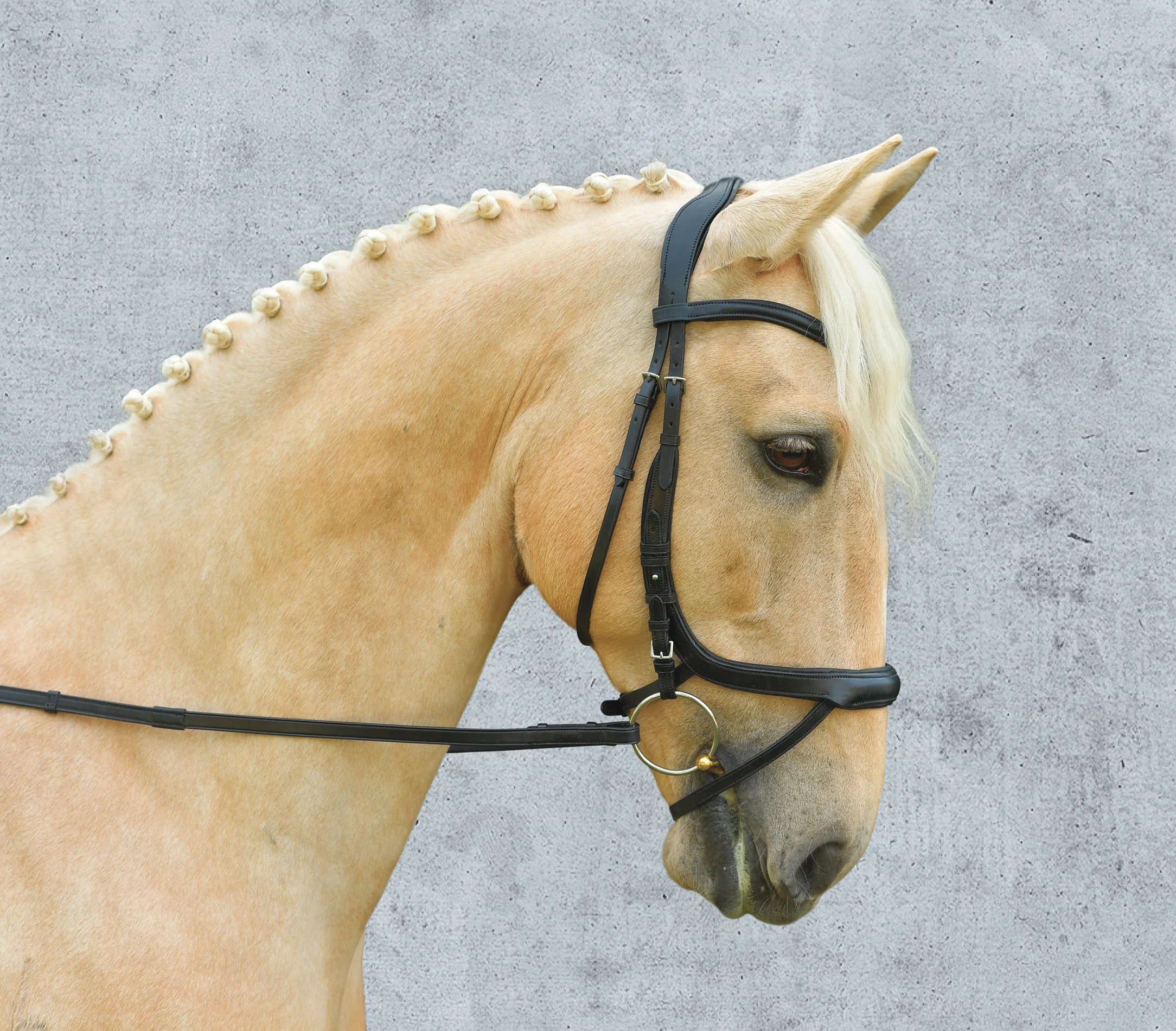 Schockemöhle Equitus Alpha Bridle - Image 3