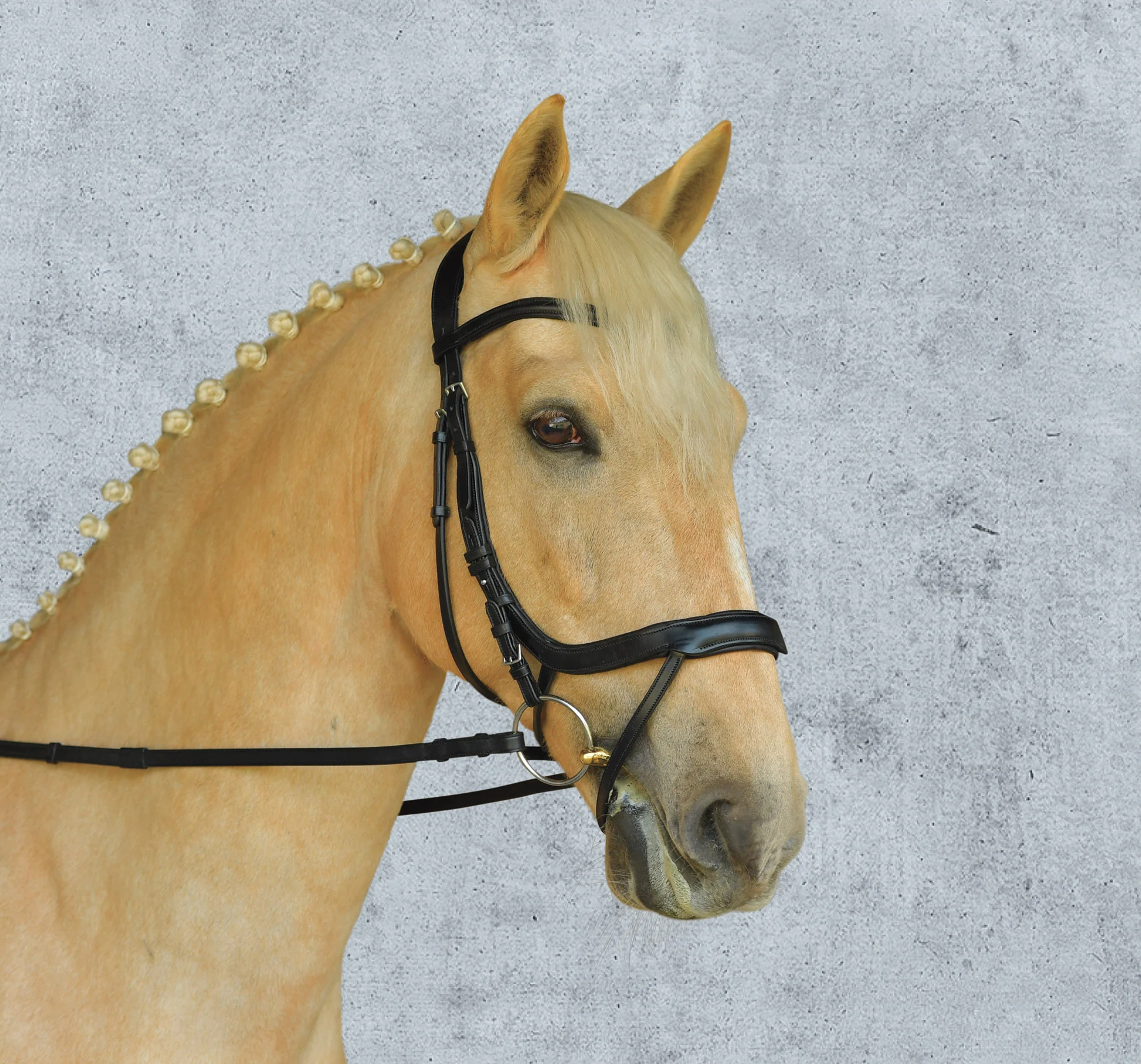 Schockemöhle Equitus Alpha Bridle - Image 4