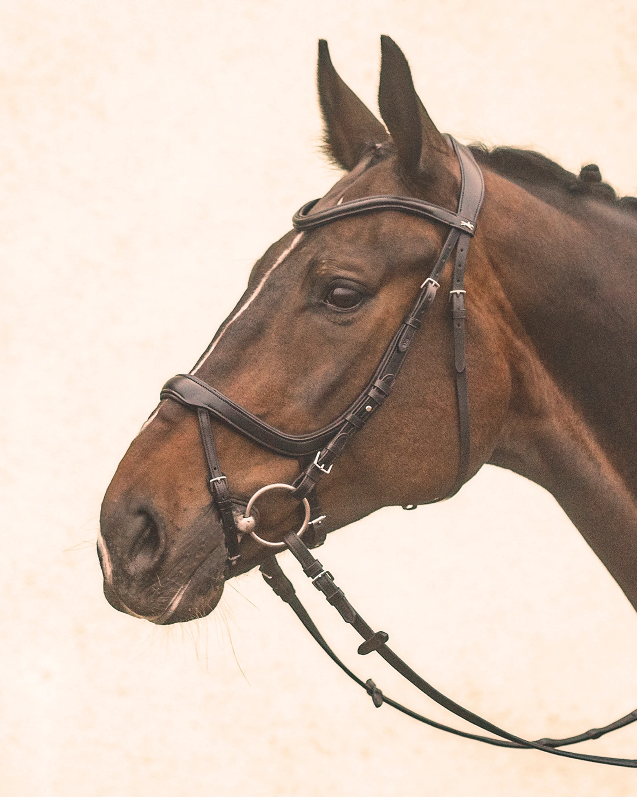 Schockemöhle Equitus Alpha Bridle - Image 6