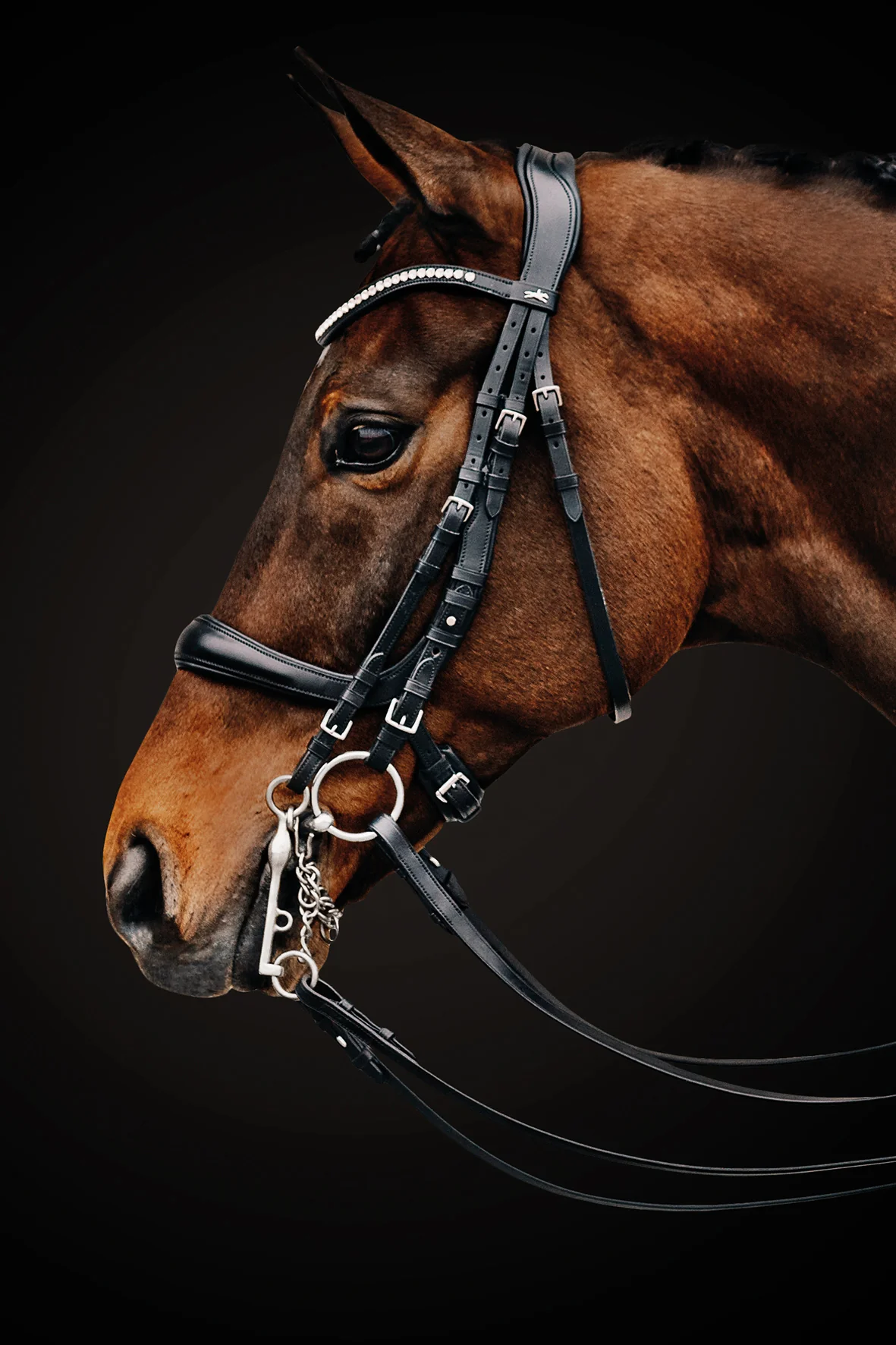 Schockemöhle Equitus Gamma Double Bridle - Image 4