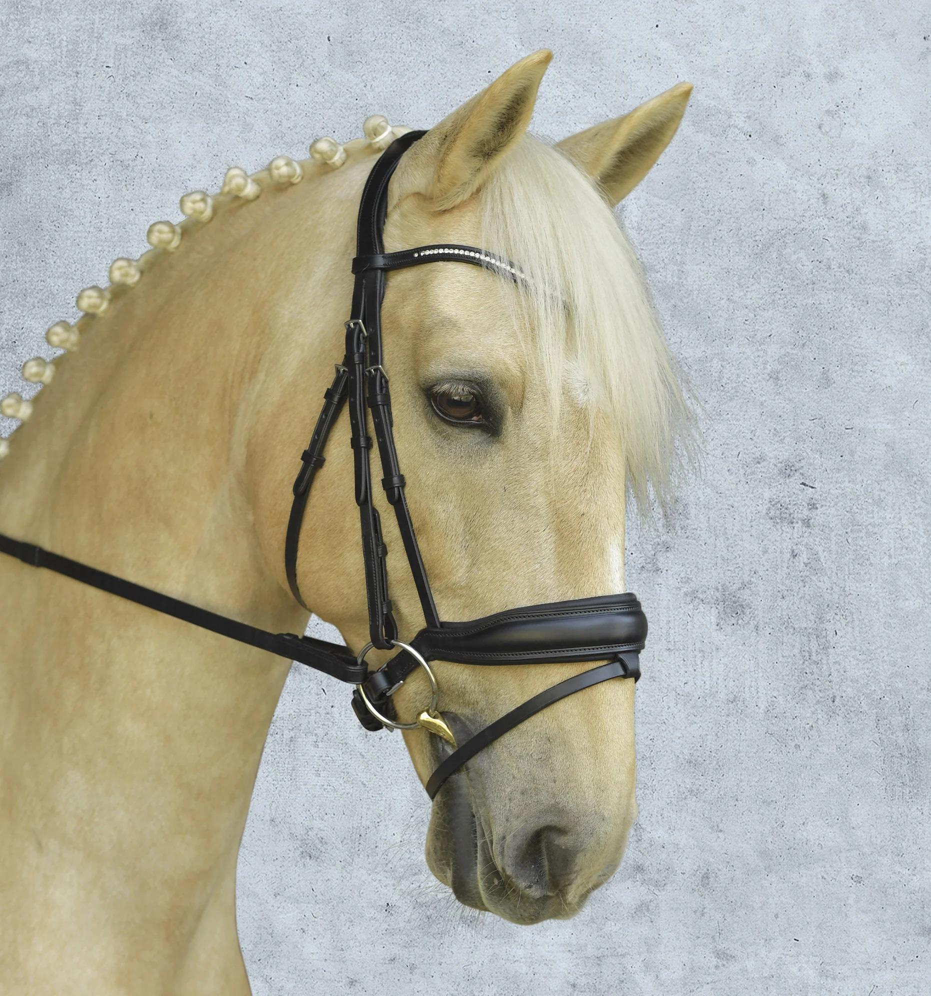 Schockemöhle Stanford Bridle - Image 5
