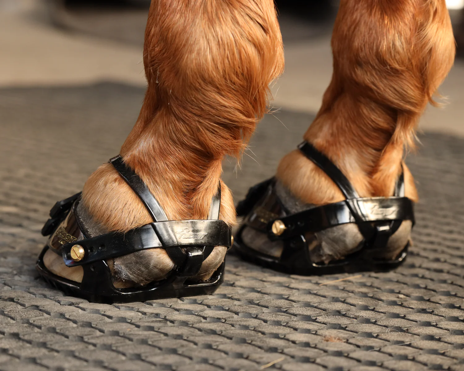 Scoot Boot Adjust Hoof Boots - Pair - Image 8