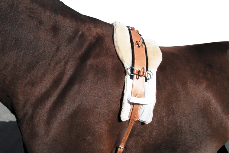 Sheepskin Surcingle Pad - Image 2
