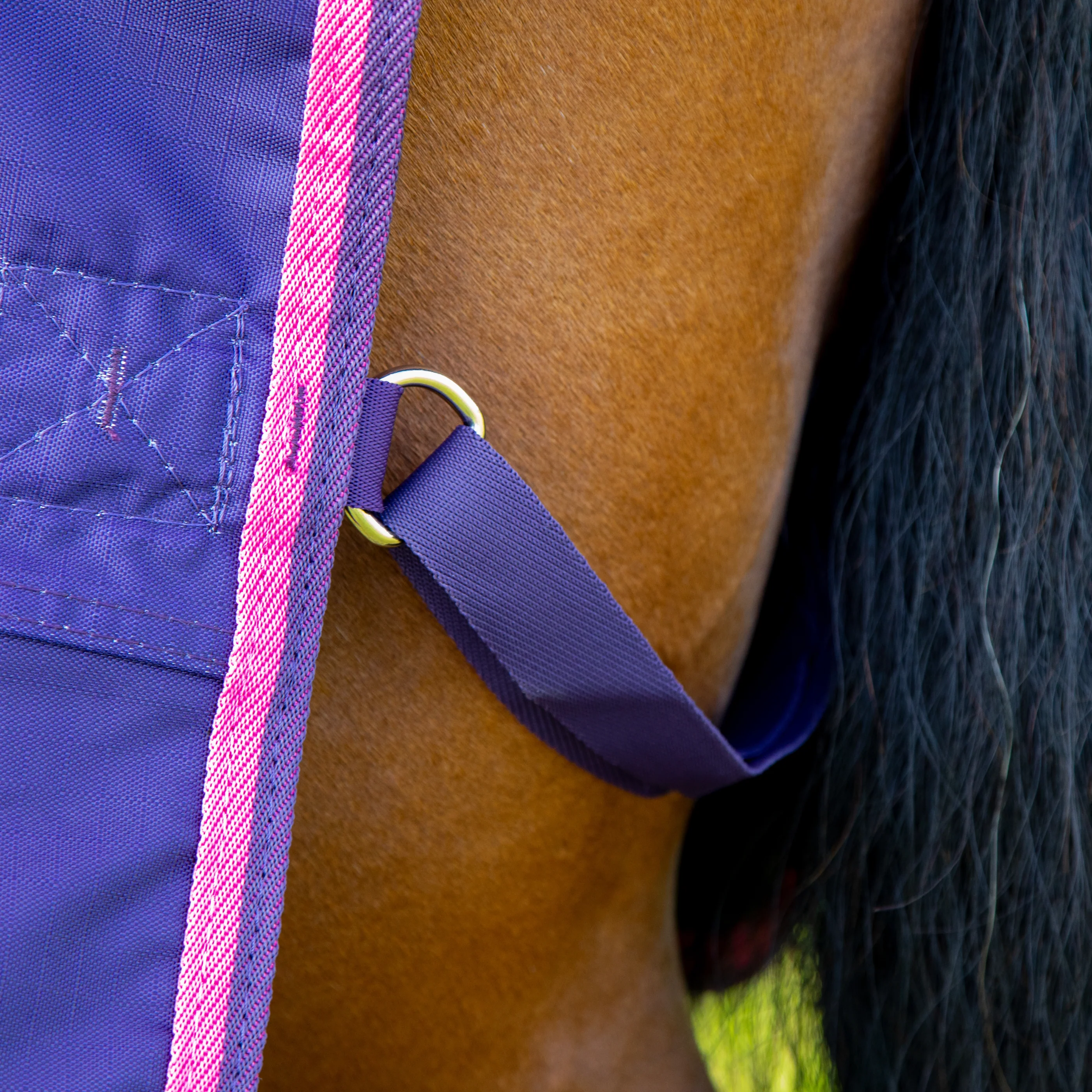 Shires Tempest Original Lite Turnout Sheet - Image 13