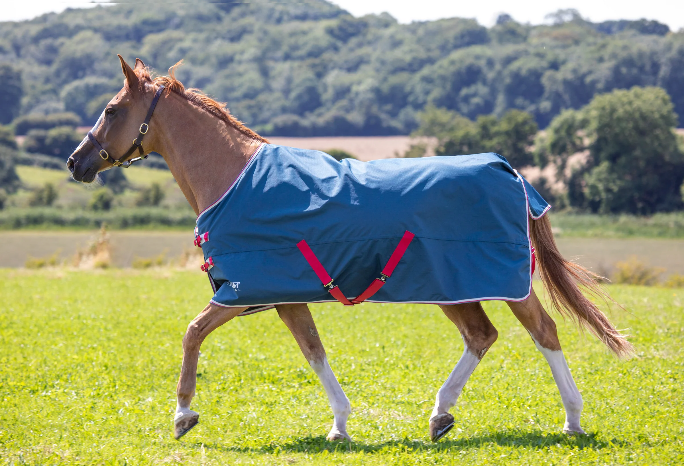 Shires Tempest Original Lite Turnout Sheet - Image 4