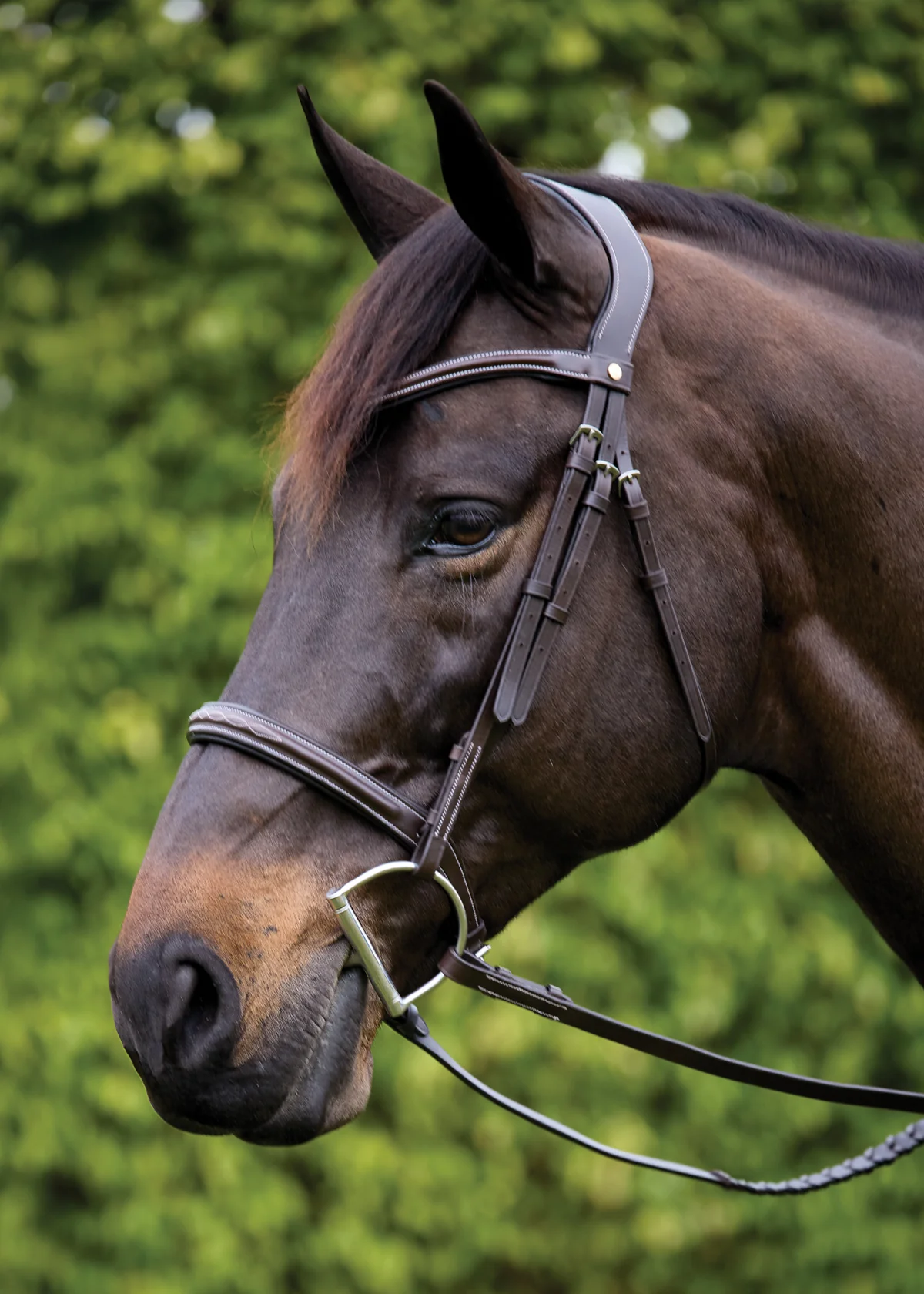 Showmark® Ergonomic Hunter Bridle - Image 4