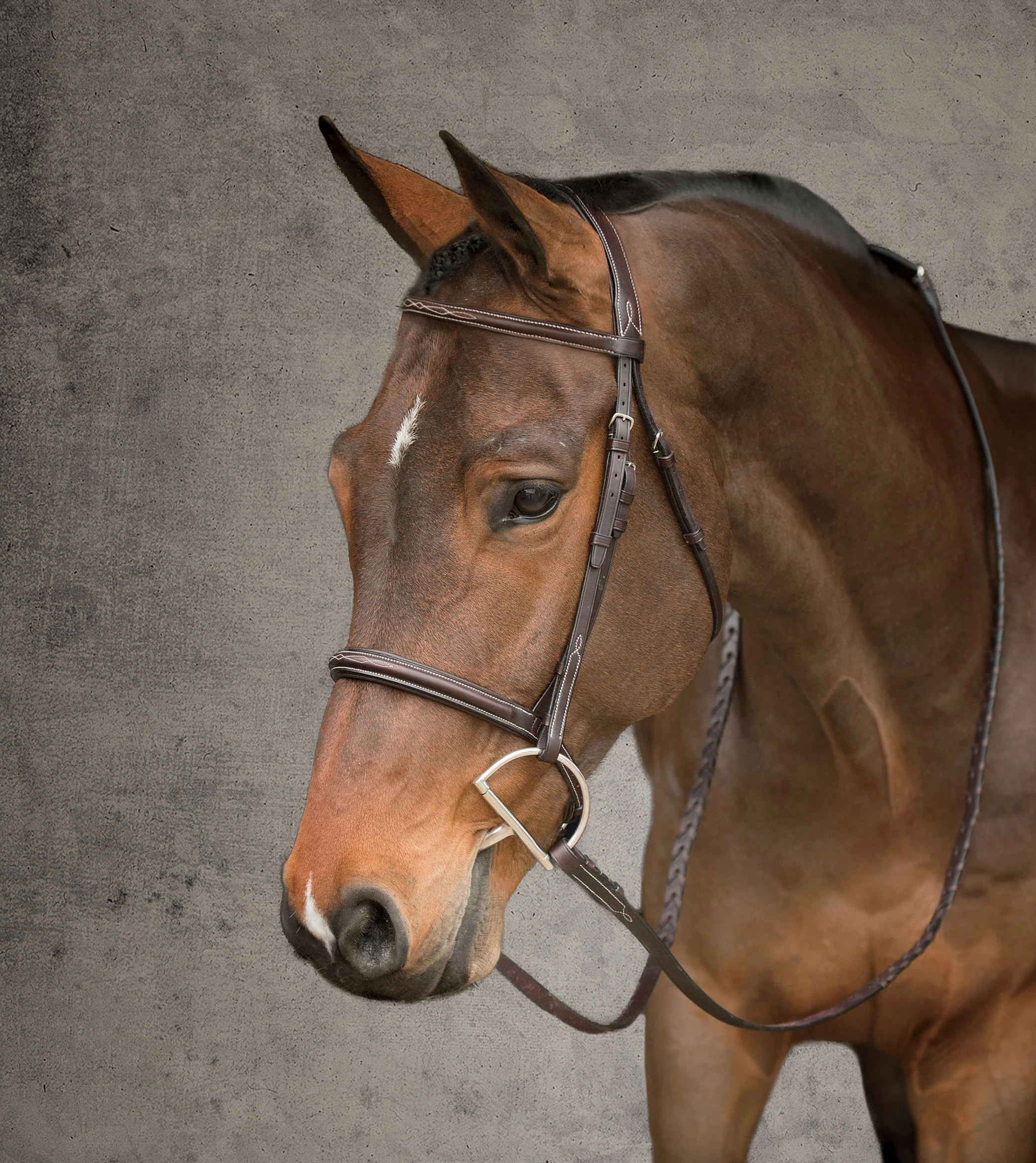 Showmark® Premier Hunter Bridle - Image 4