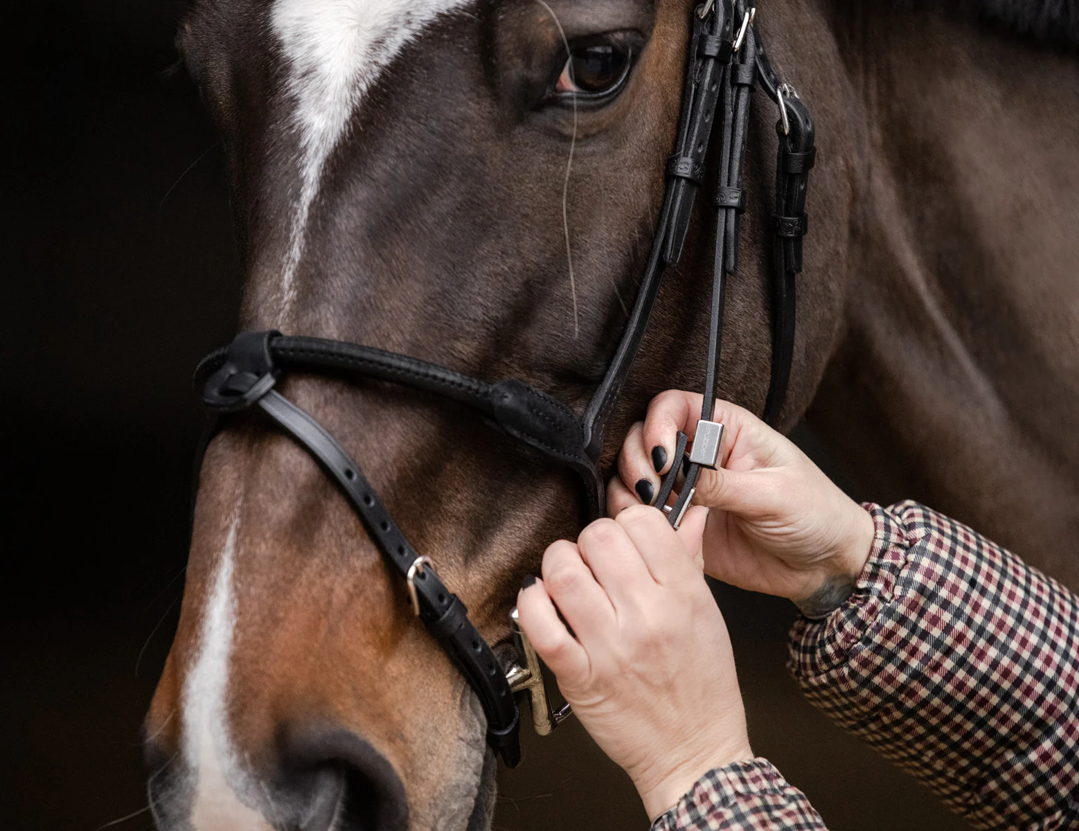 Stübben Pro Jump Bridle with Removable Flash Noseband - Image 8
