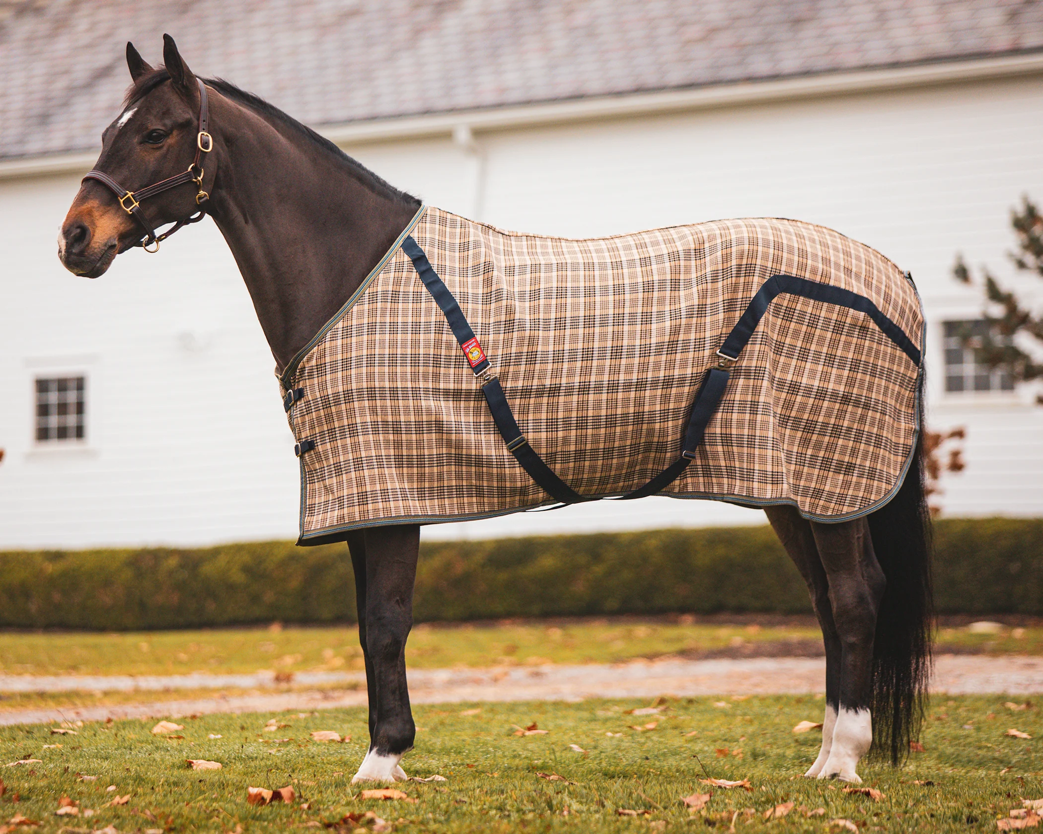The Original Baker® Stable Blanket