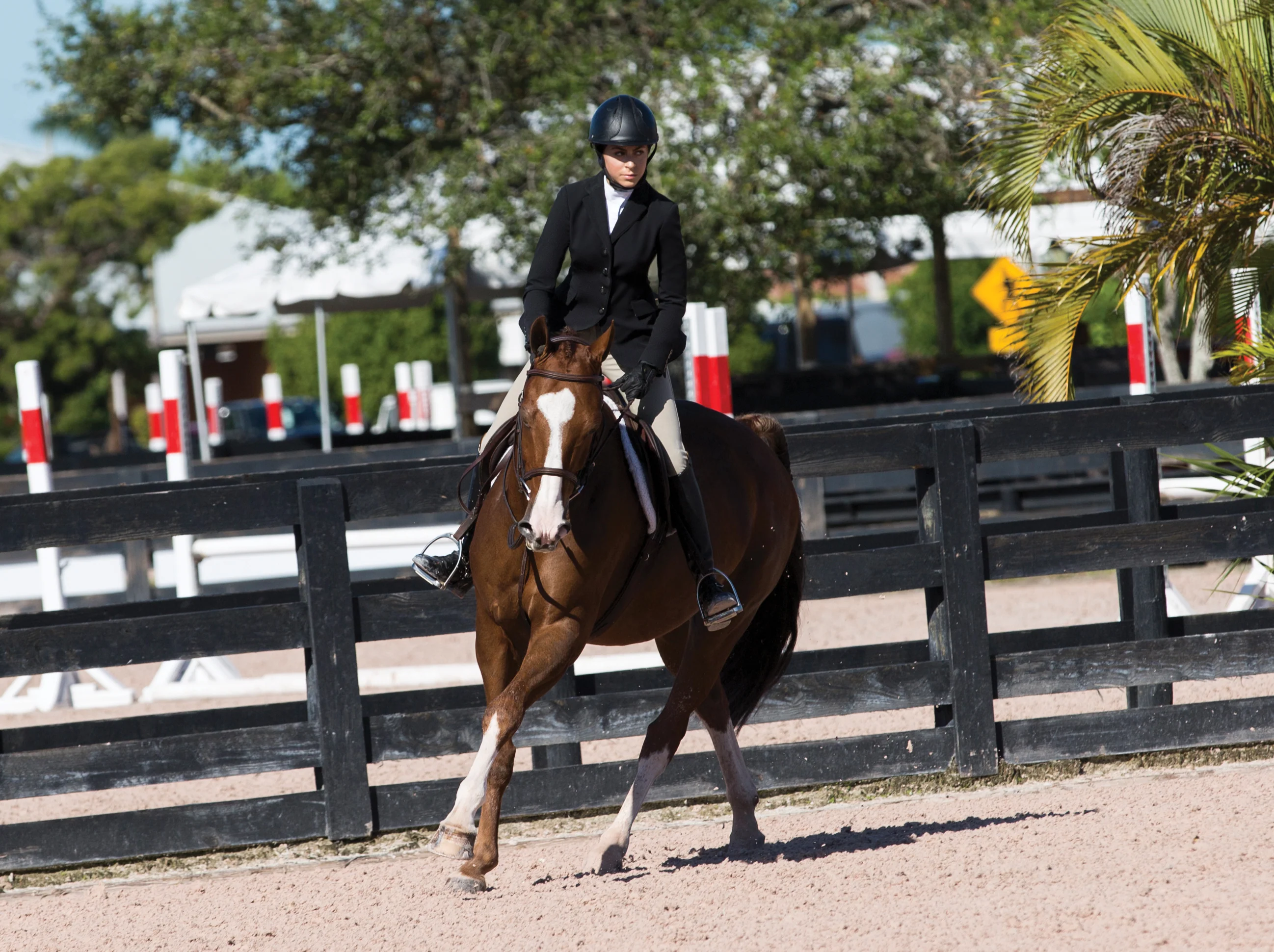 Tredstep™ Solo Showtime Show Coat - Image 9